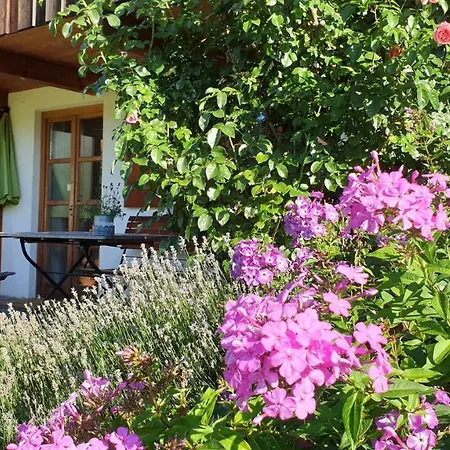 Budererhof Apartment *